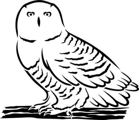 Snowy Owl Coloring Page